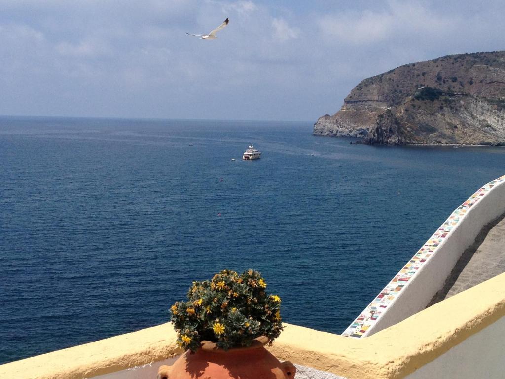 Appartamenti Casa Del Sole Sant'Angelo  外观 照片